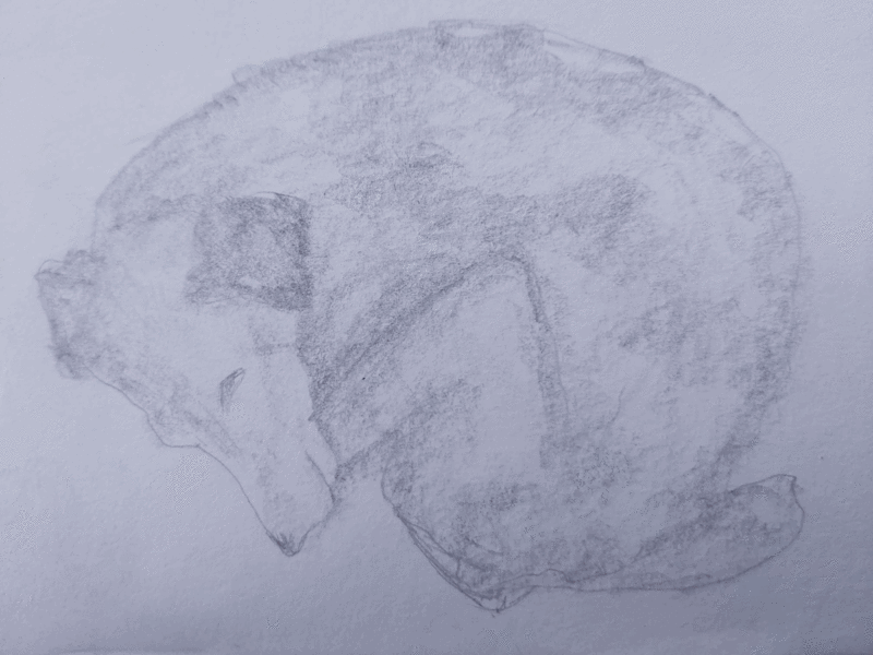 Condolence image of Lumi und Alex