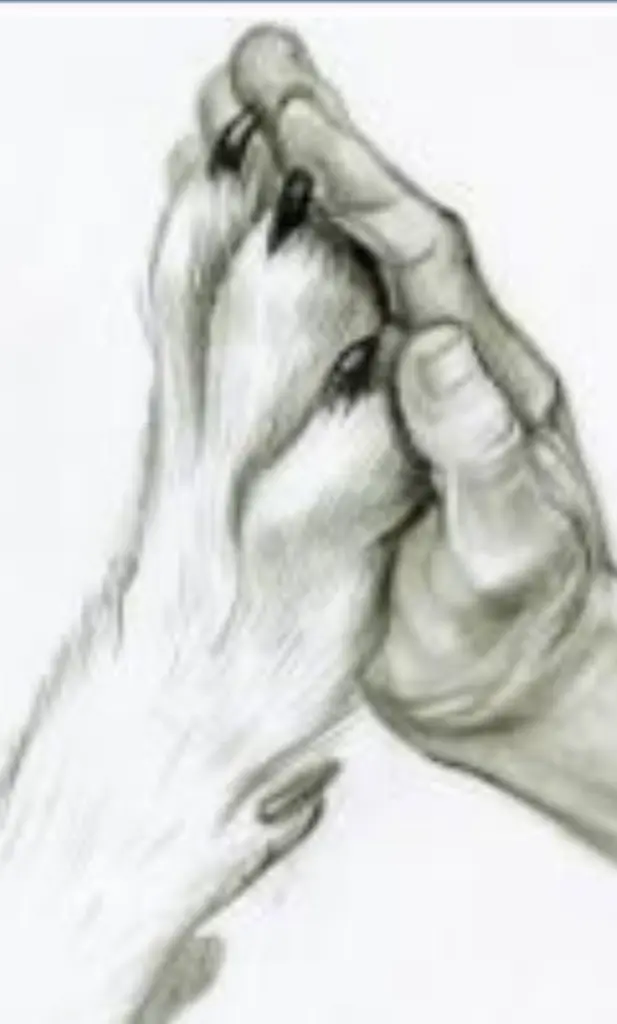 Image from Shanouk