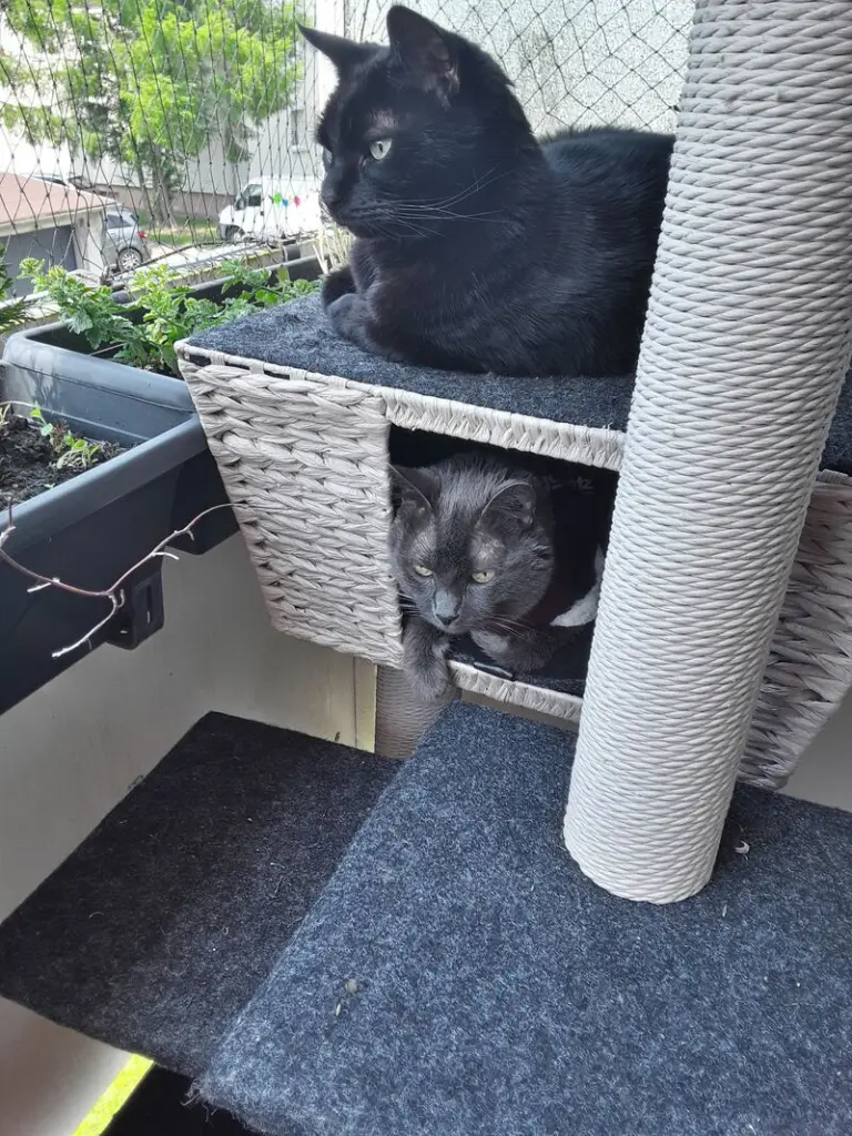 Andachtsbild von Sandra