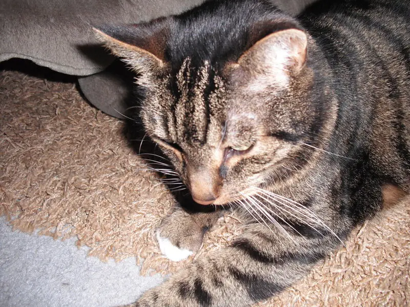 Andachtsbild von Karin und Benni, gest. 24.03.2021