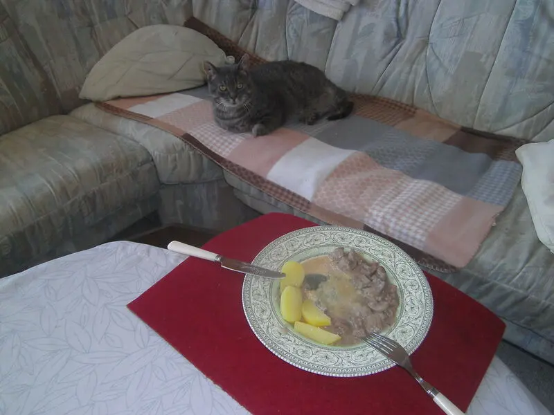 Condolence image of Susanne