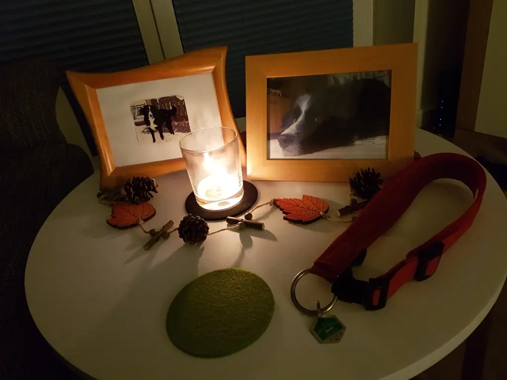 Image from Jack