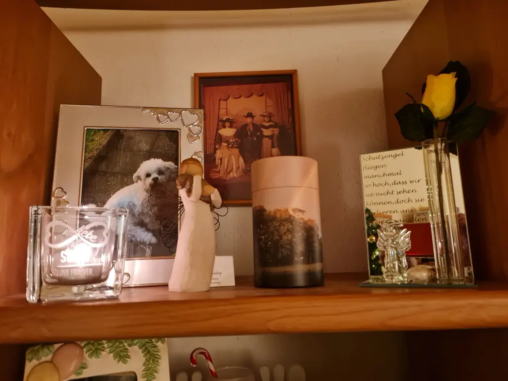 Condolence image of Maike mit Sunny für immer verbunden ❤️❤️