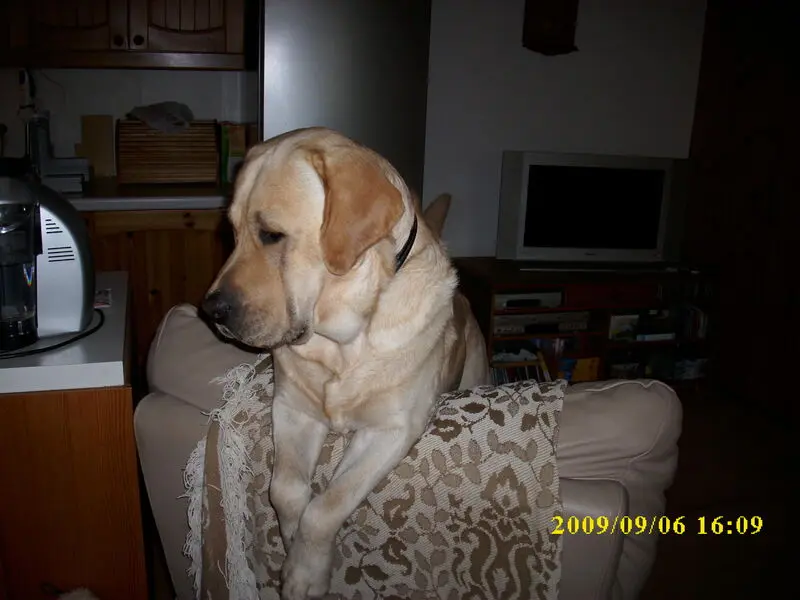 Condolence image of Kerstin