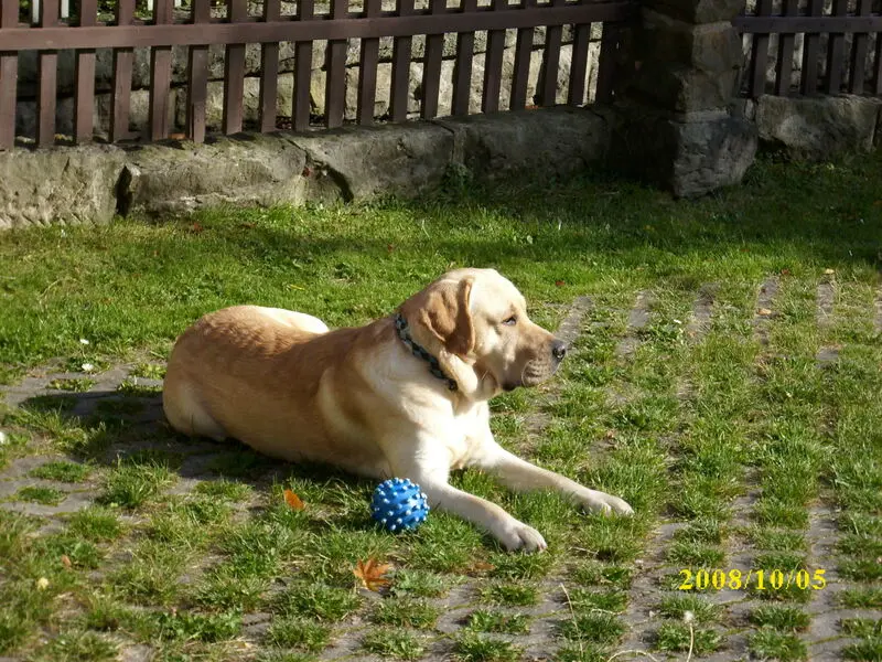 Condolence image of Kerstin