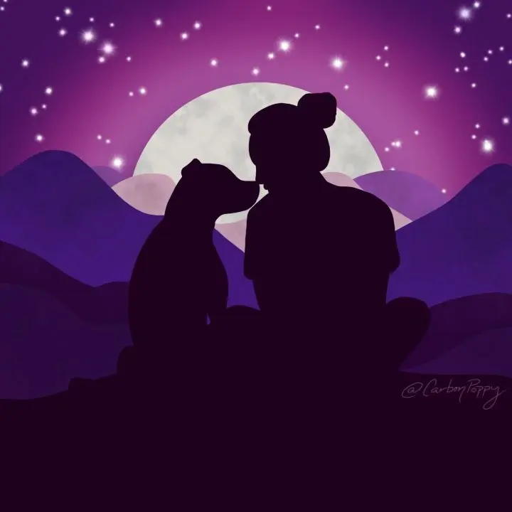 Condolence image of Martina mit Seelenhund Samy ♥️⭐♥️ für immer im Herzen