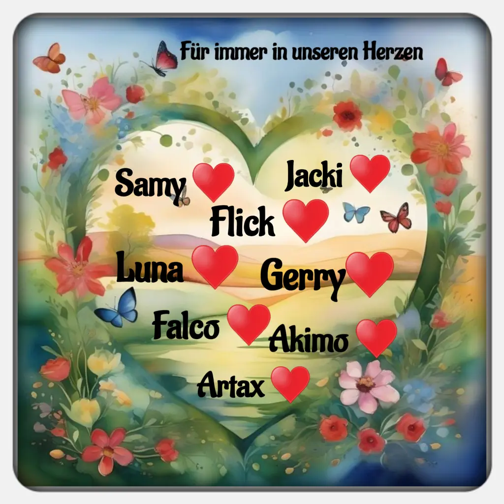 Condolence image of Für die geliebte Fellnase Falco ♥️⭐♥️