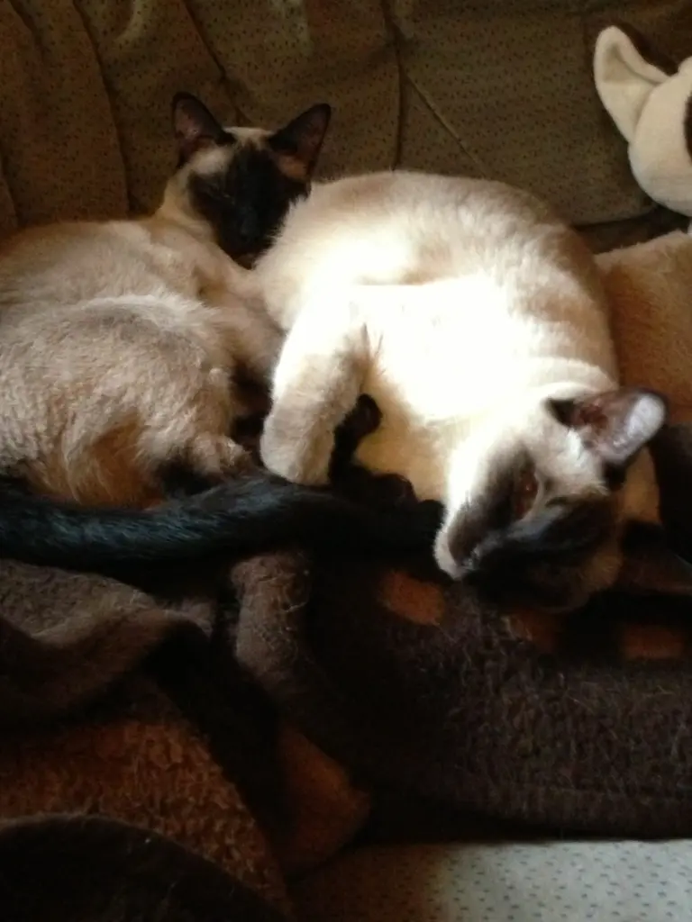 Image from Blue