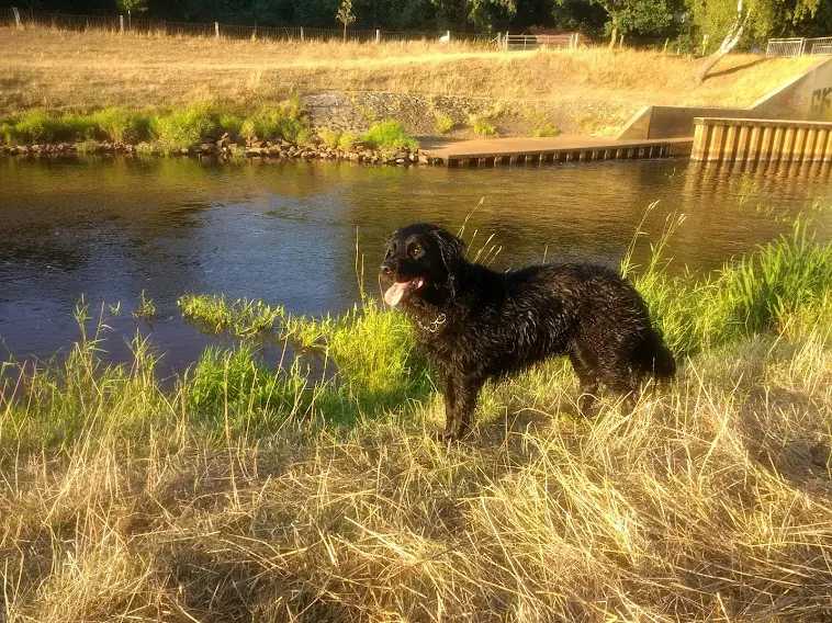 Image from Lucky
