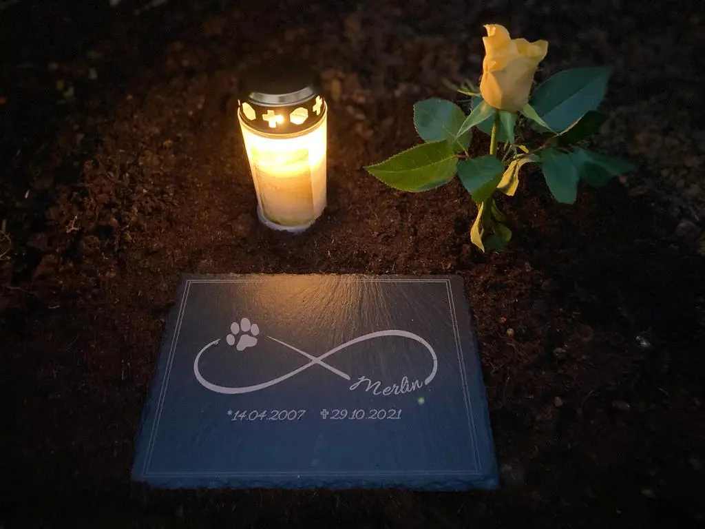 Condolence image of Claudia Doll