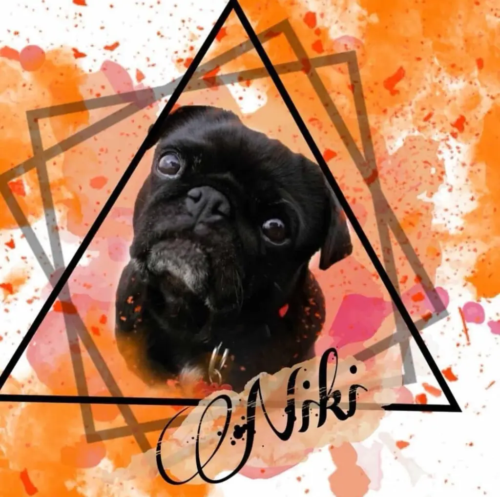 Image from Niki