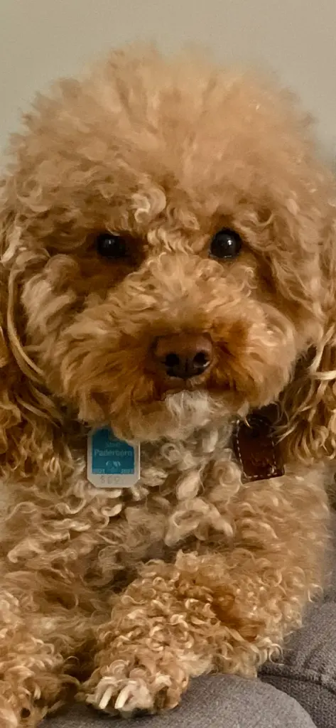 Image from Charlie