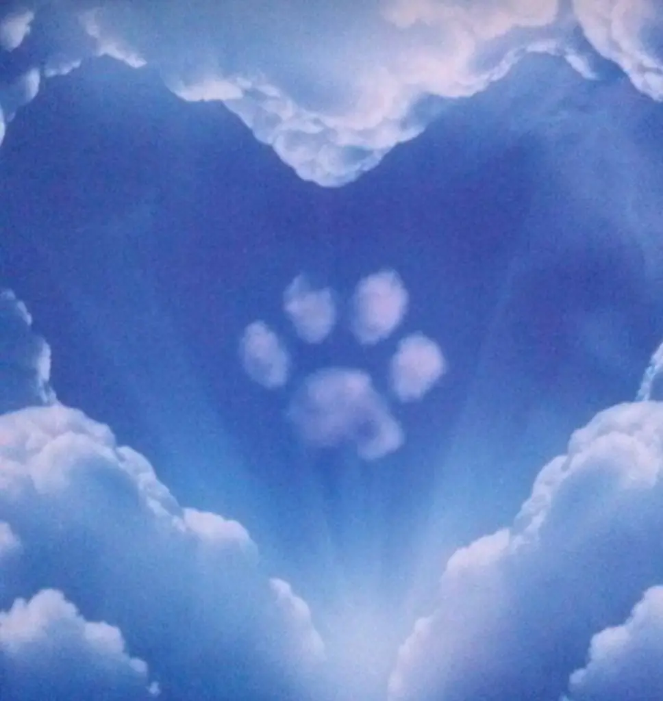 Condolence image of Doris Deine Hundefriseurin