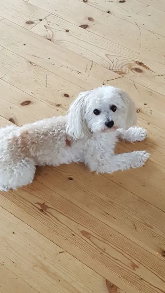 Image from Rusty
