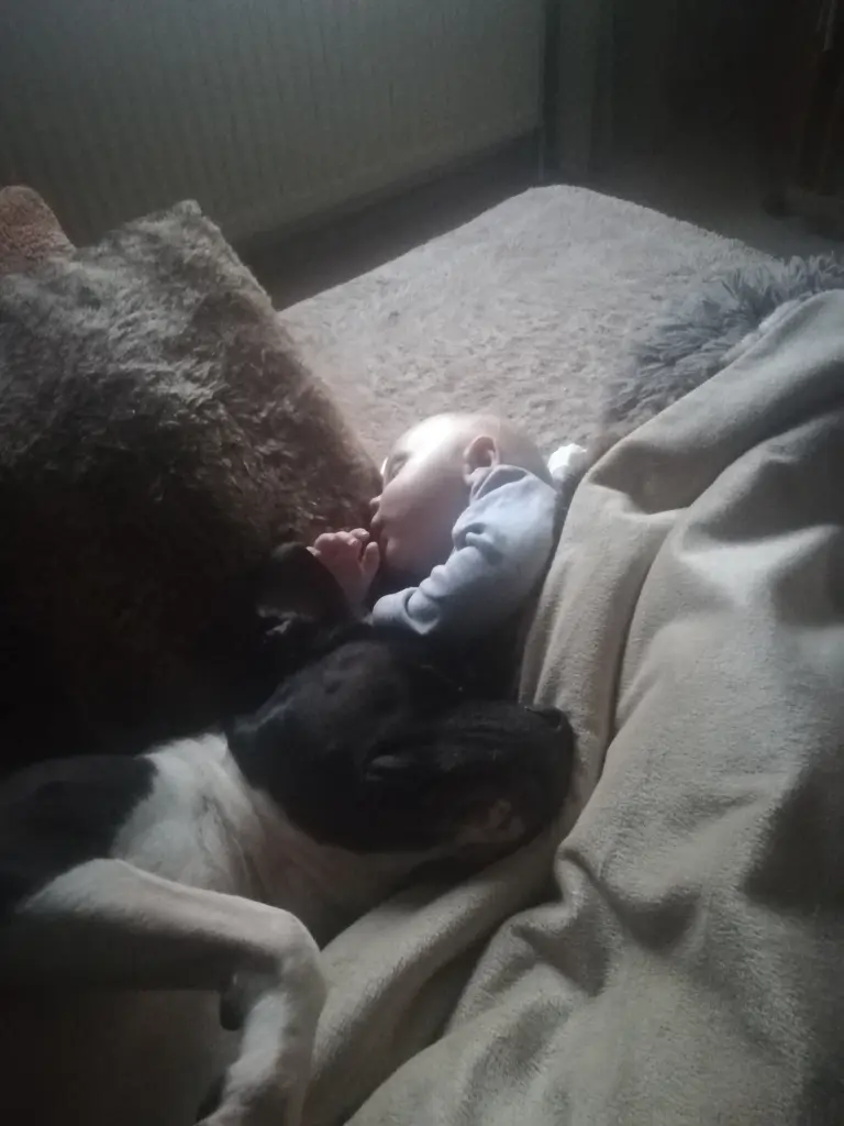 Bild von Maya
