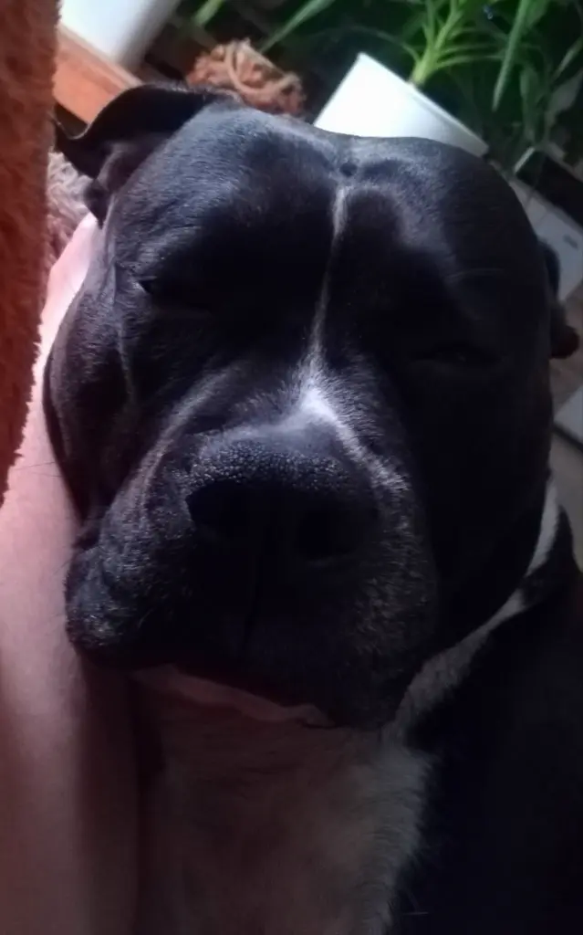Bild von Maya
