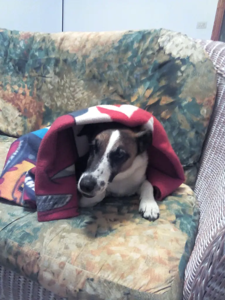 Image from Snoopy
