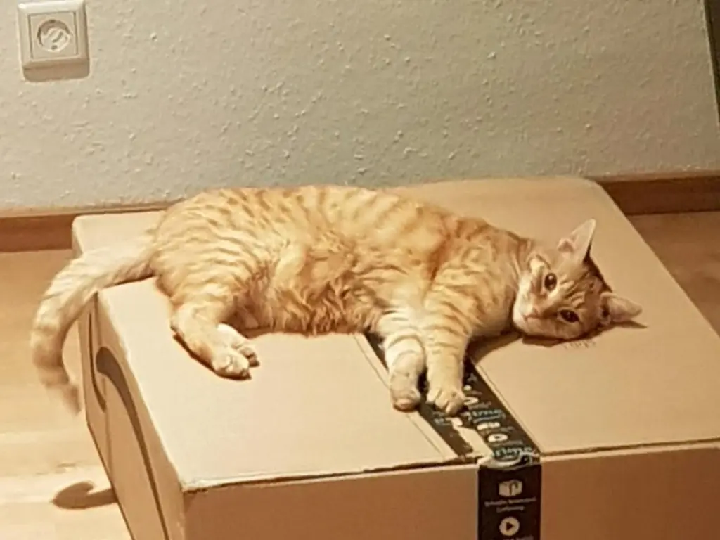 Image from Lennard
