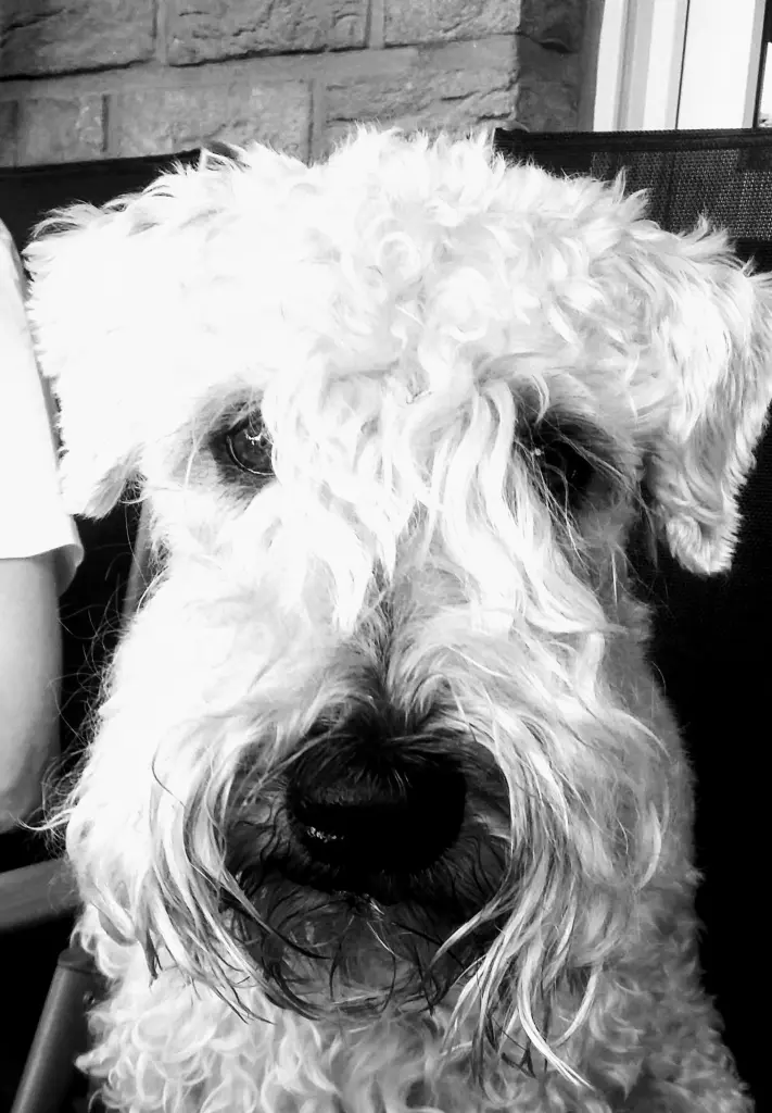 Image from Smilla