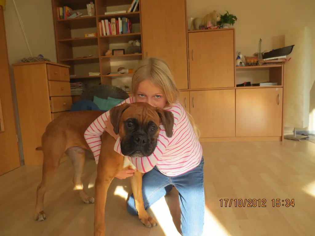 Image from Max