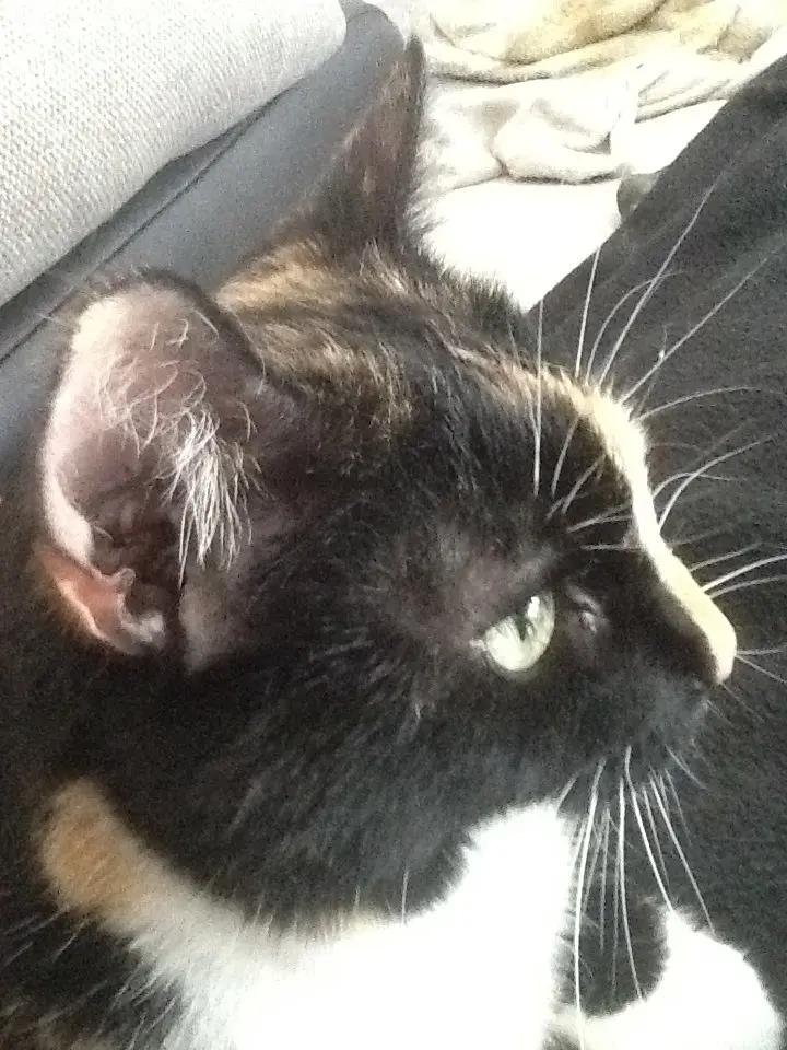 Bild von Lucy