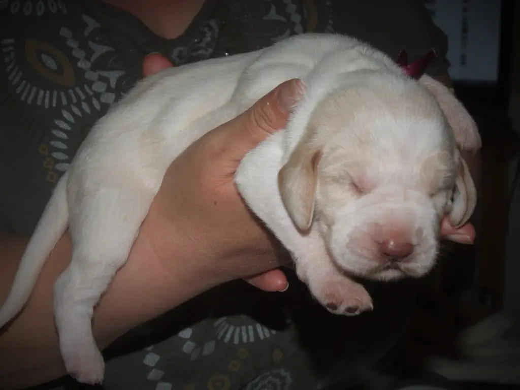Bild von Dunya