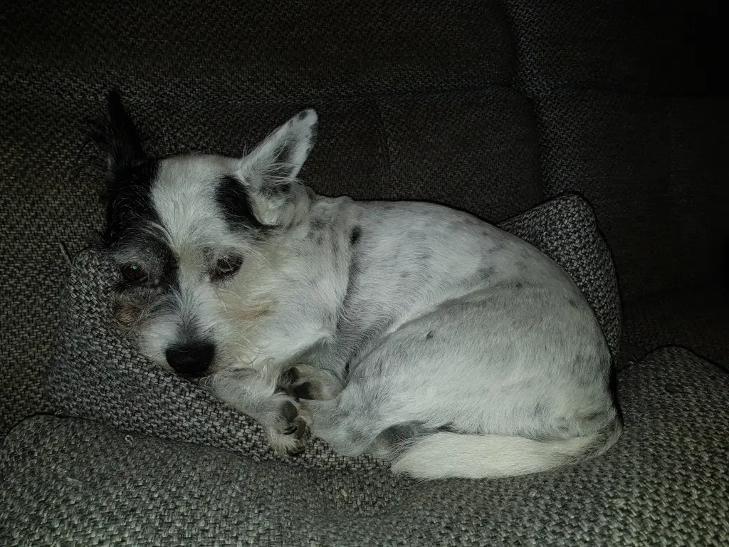 Condolence image of Christine