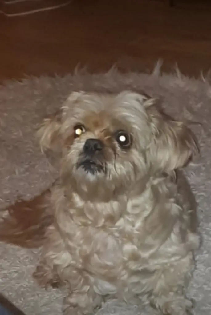Condolence image of Jessika