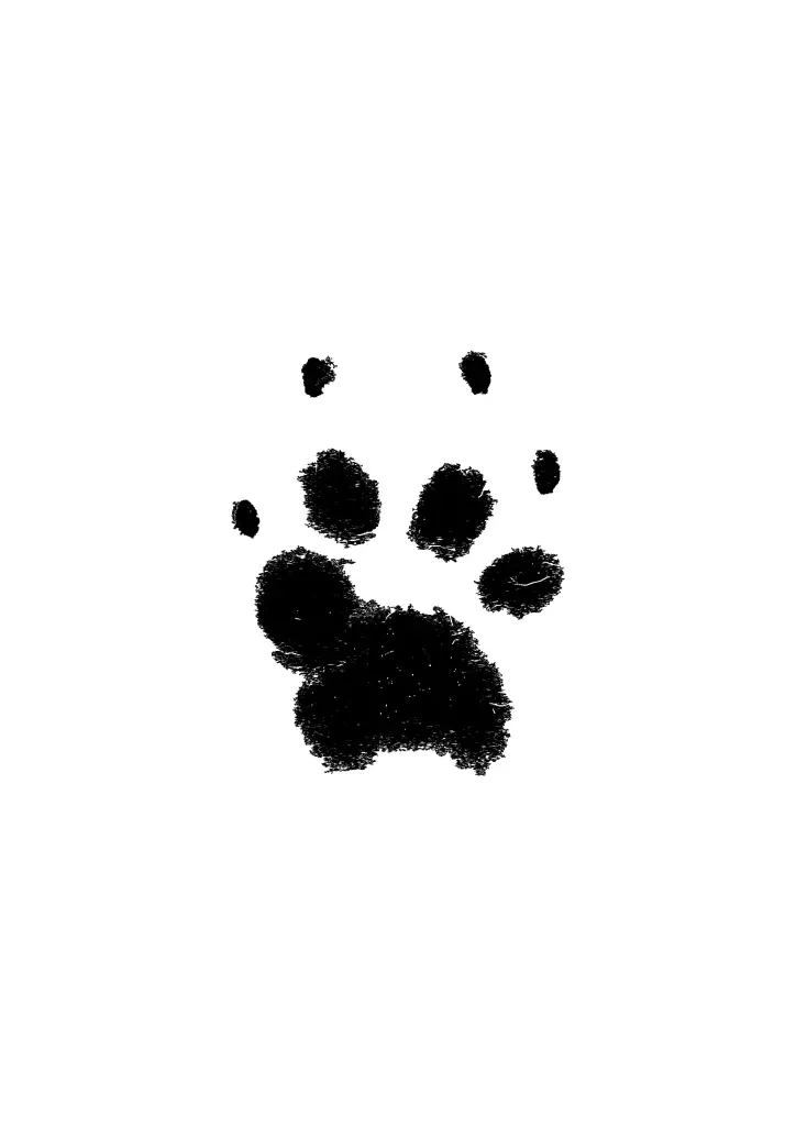 Image from Aslan