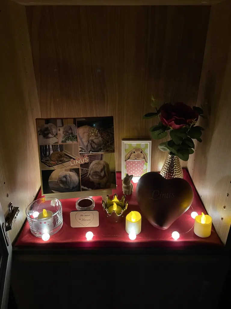 Condolence image of Tanja