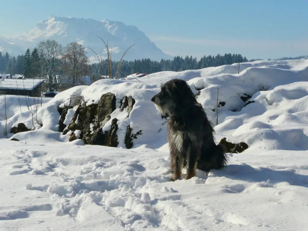 Image from Kessy