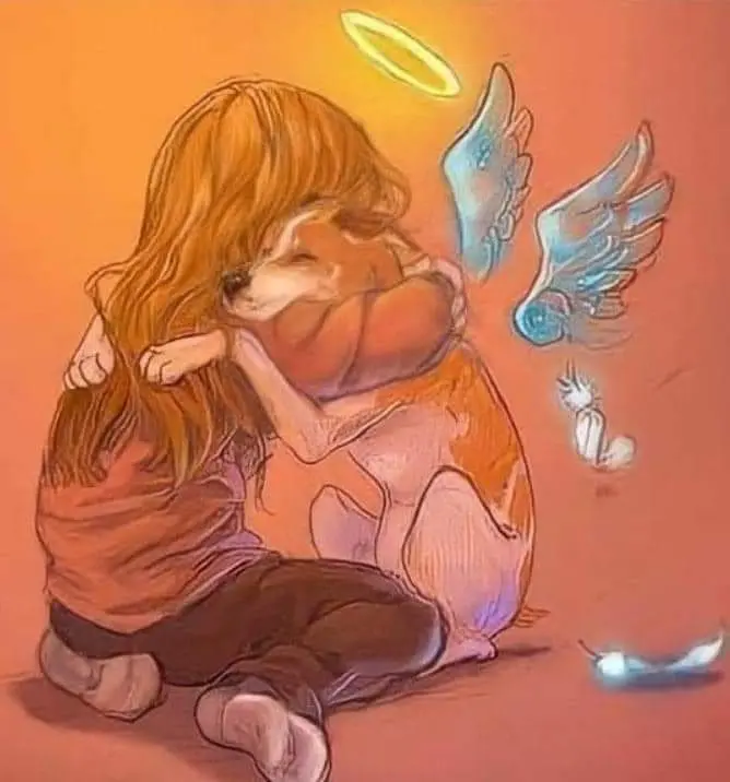 Condolence image of miro s mama