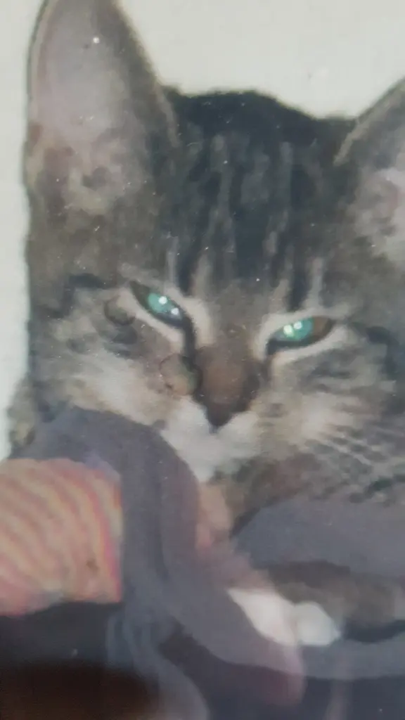 Condolence image of Tina mit Püppi 