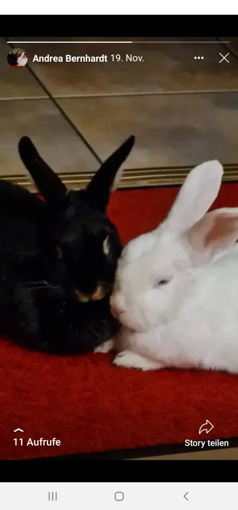 Condolence image of Andrea mit Finja und Candy