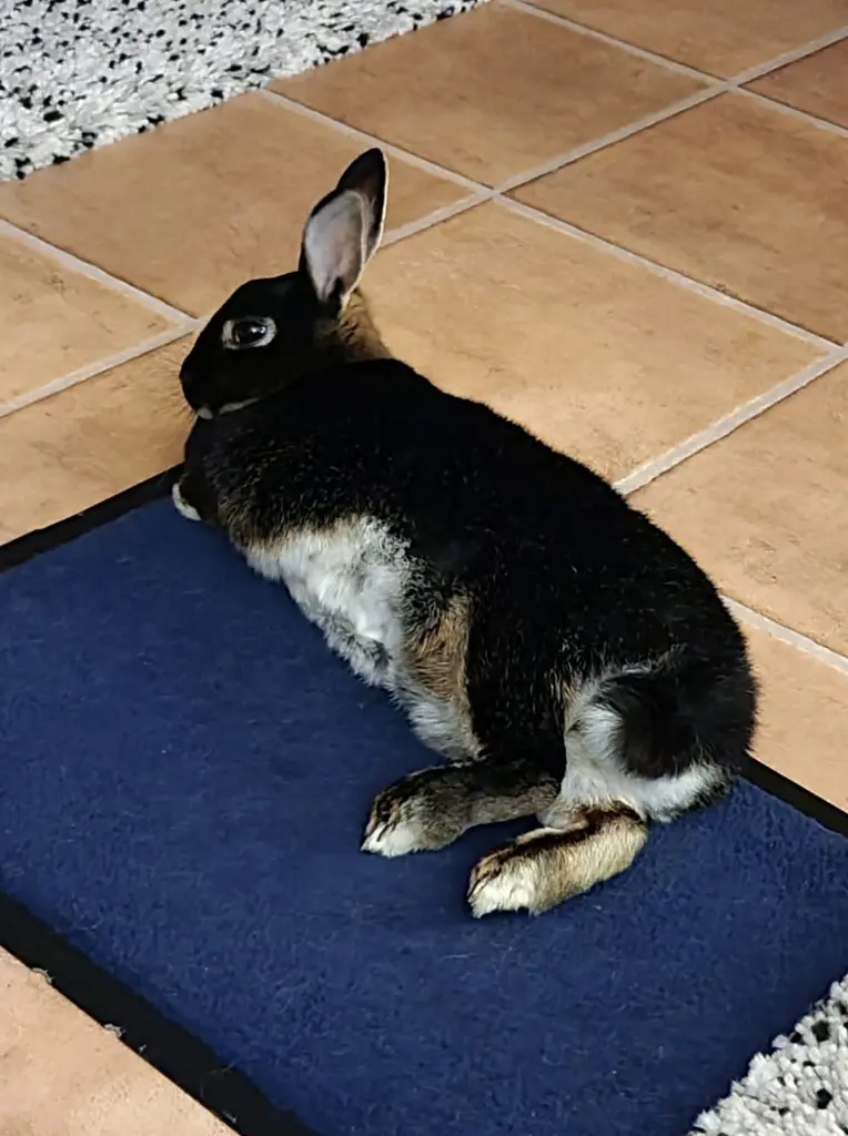 Condolence image of Andrea Bernhardt