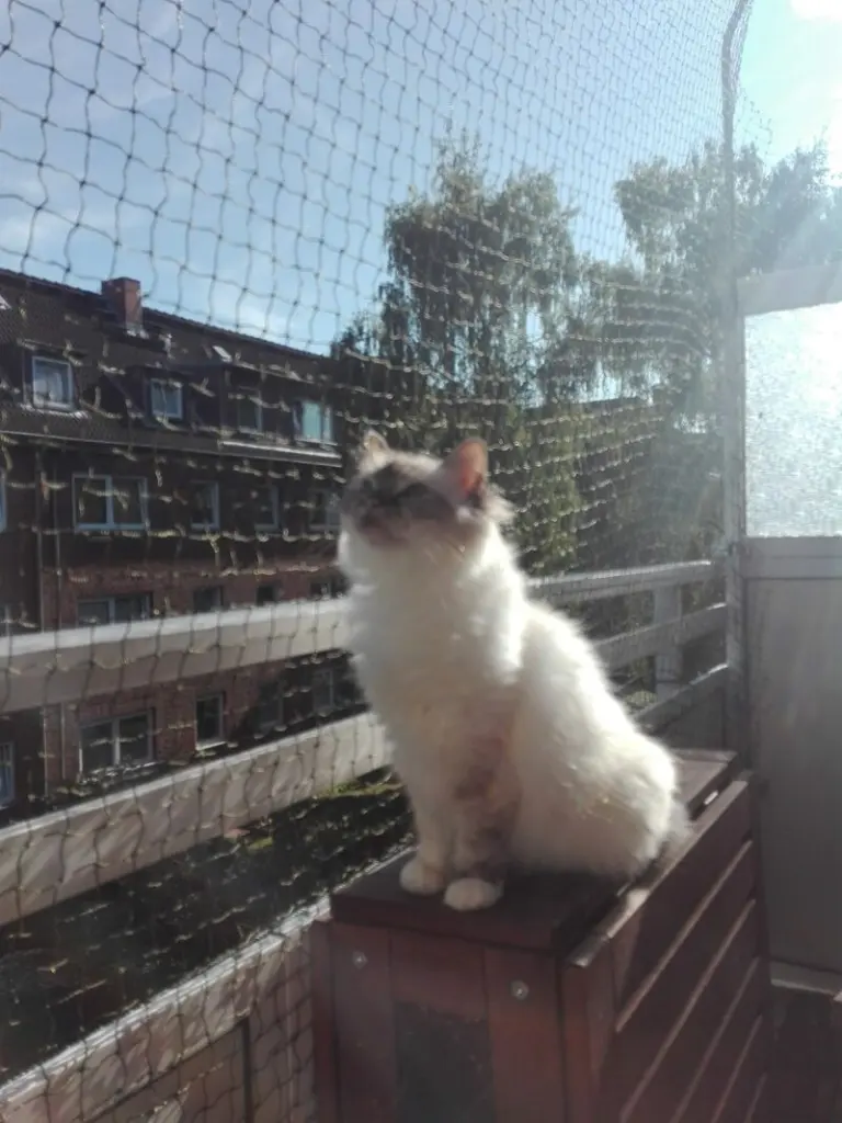Condolence image of Sophie