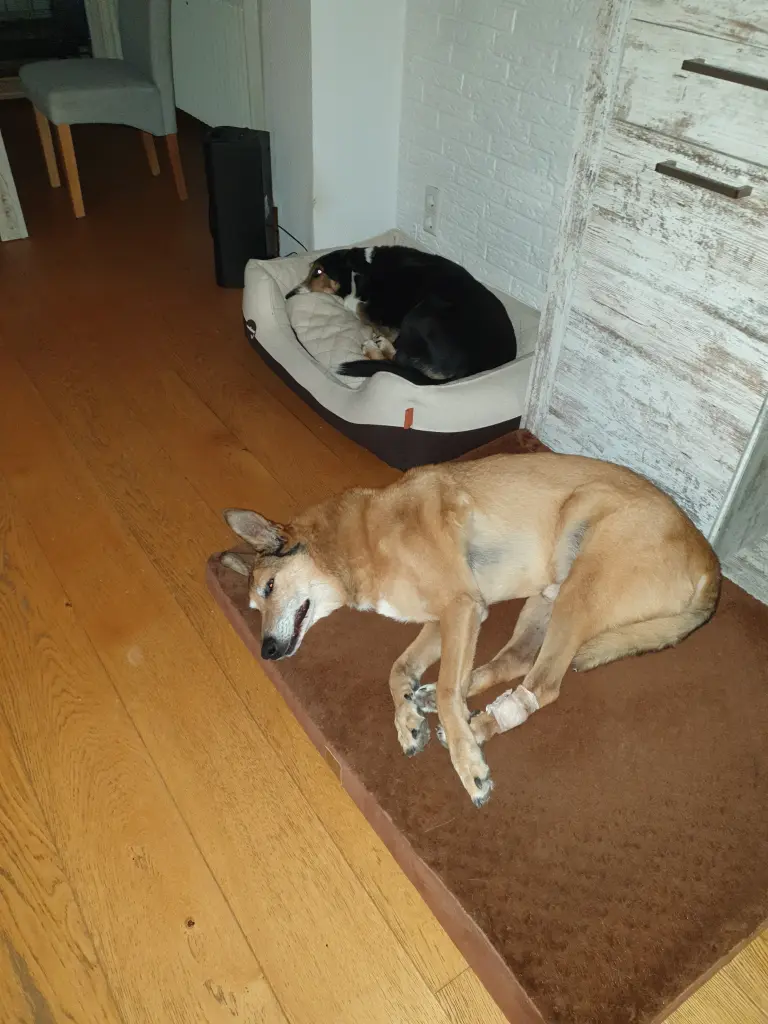Image from Jeff