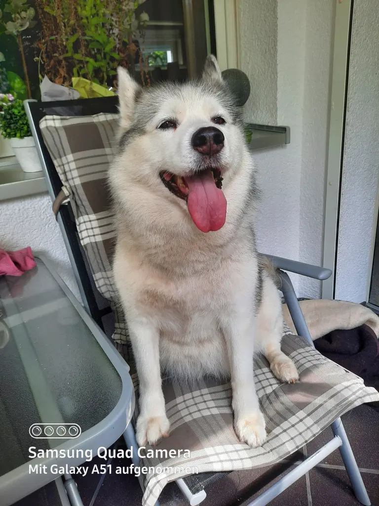 Image from Aska