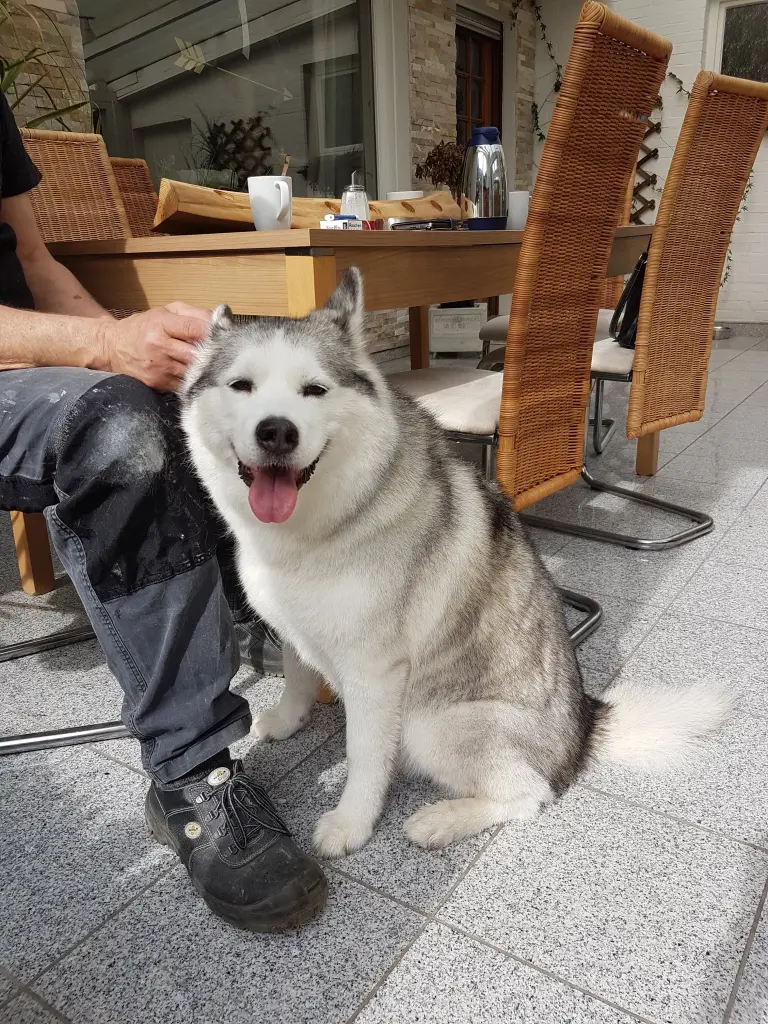 Image from Aska