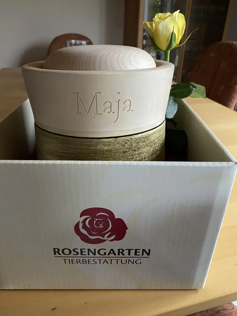 Image from Maja