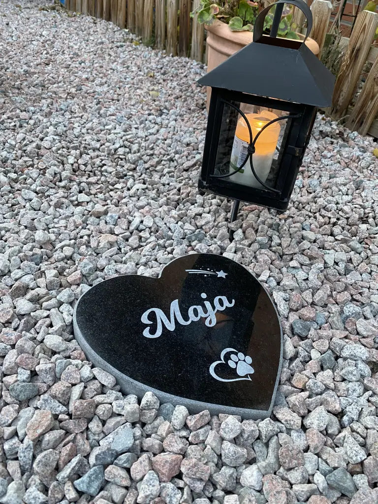 Image from Maja