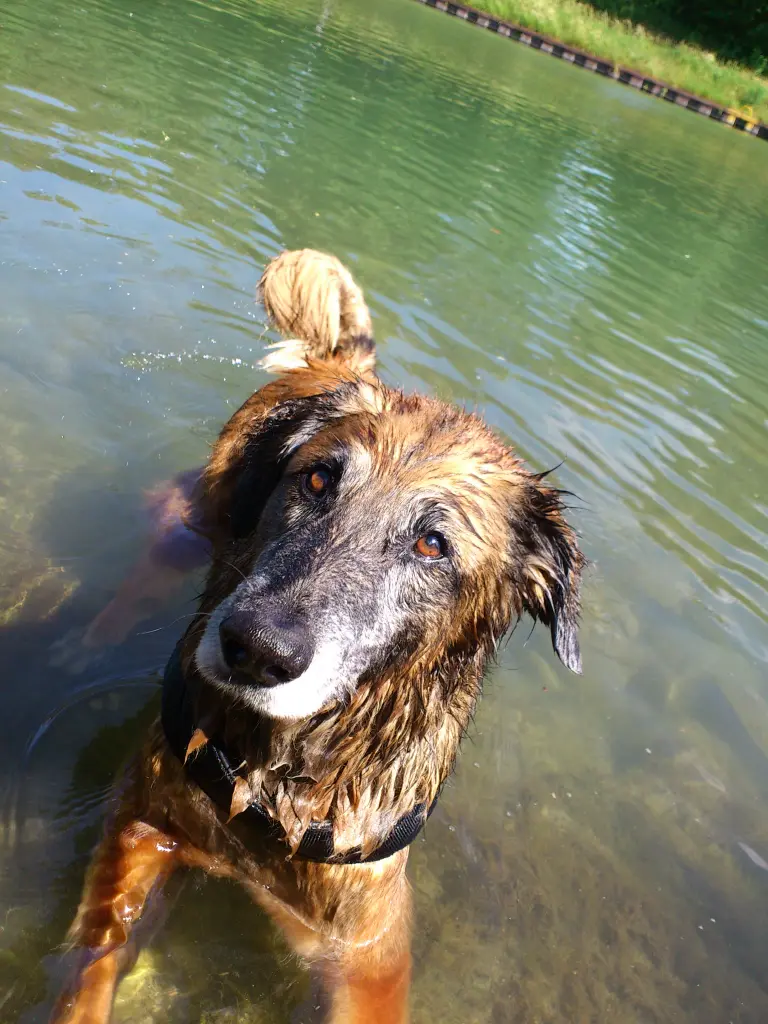 Image from Balu
