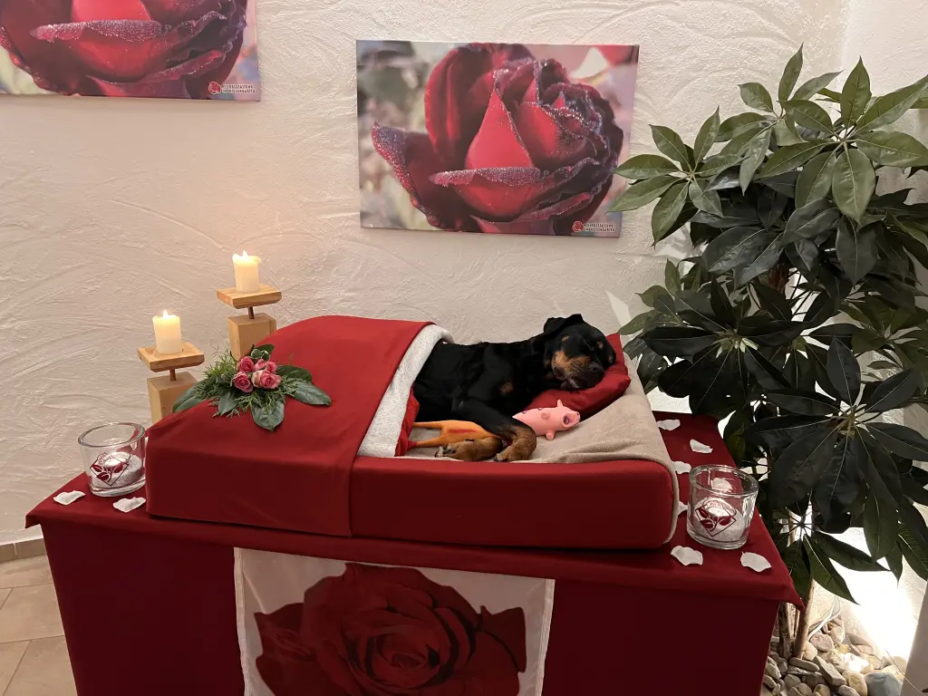 Condolence image of Monika