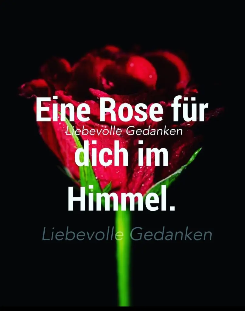 Condolence image of Gabi mit Max gest.20.11.2020❣️