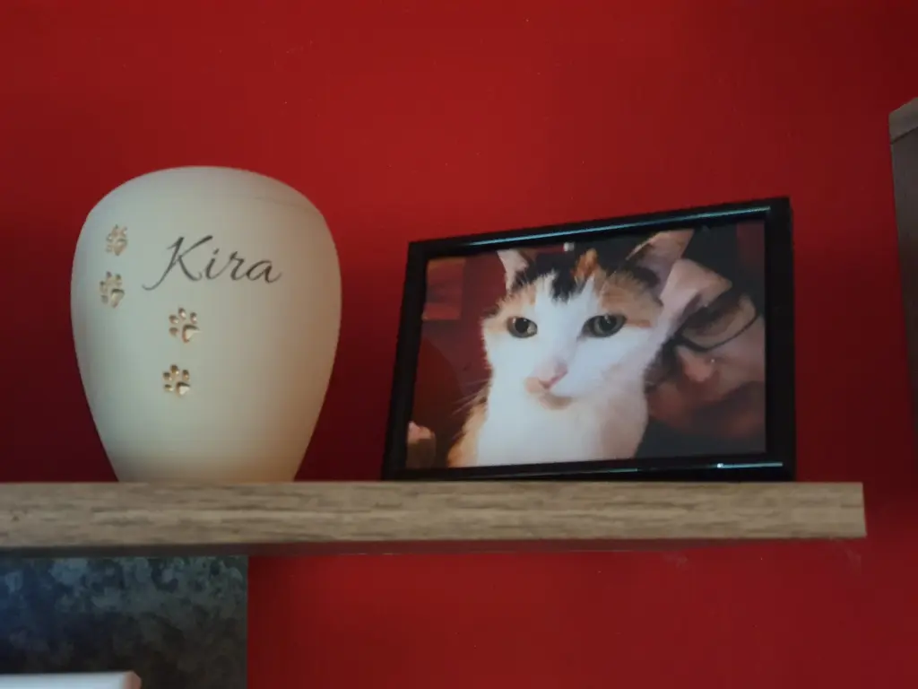 Image from Kira
