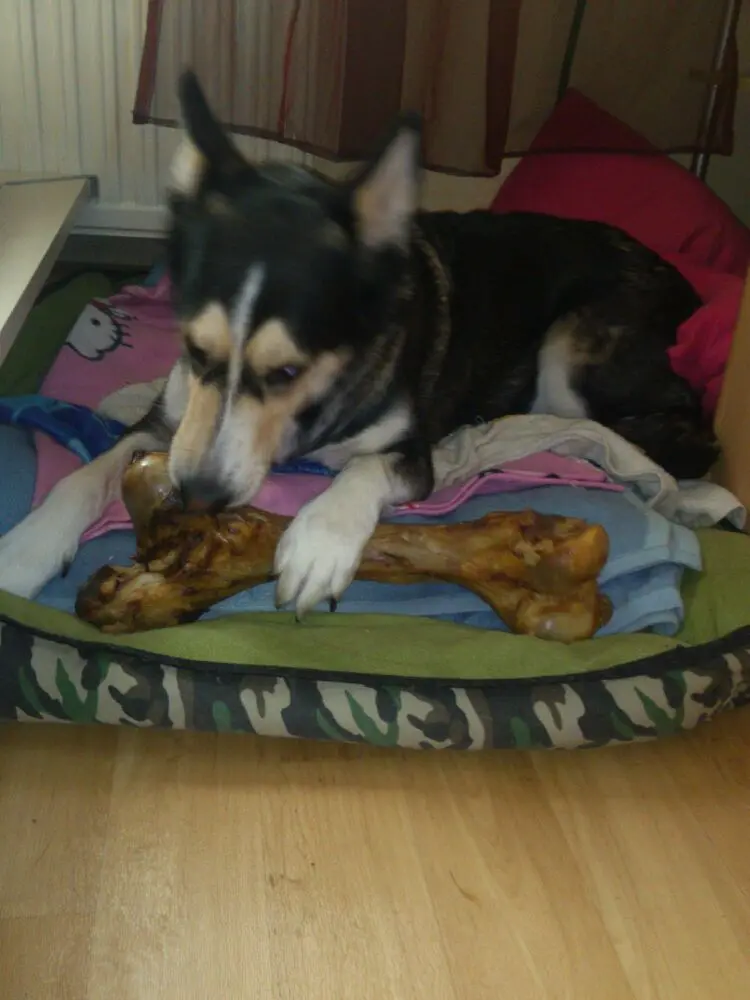 Andachtsbild von Jane