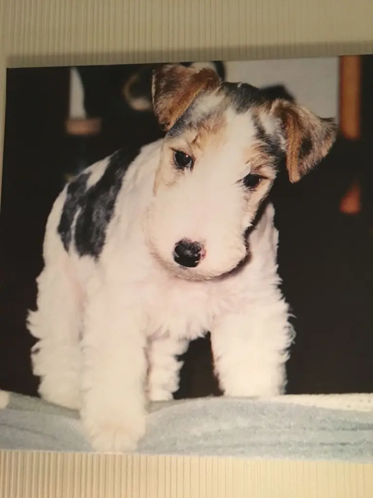 Andachtsbild von Michaela