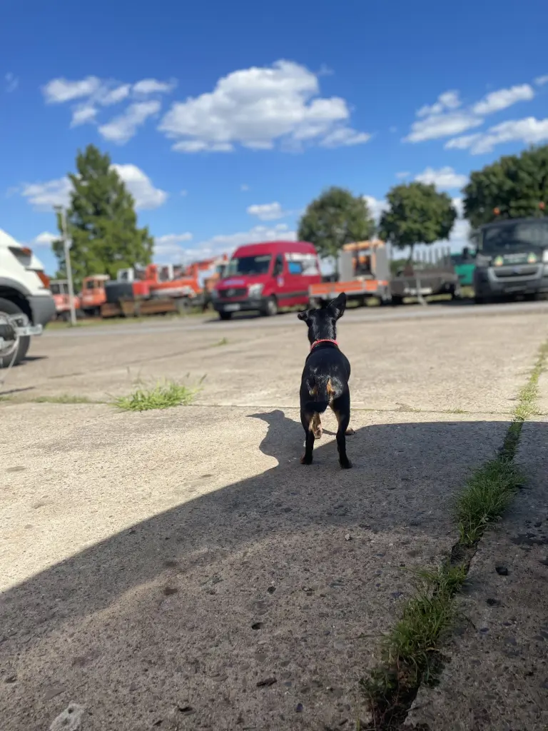 Andachtsbild von Unbekannt