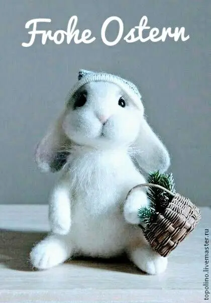 Andachtsbild von Jacqueline mit Diego & Aro tief im❤ 