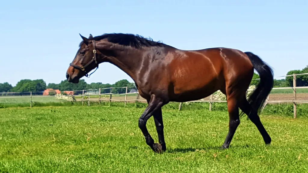 Andachtsbild von Claudia